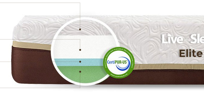 live and sleep review elite mattress