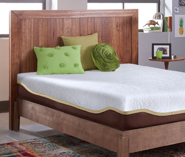 sleep and live review elite mattress