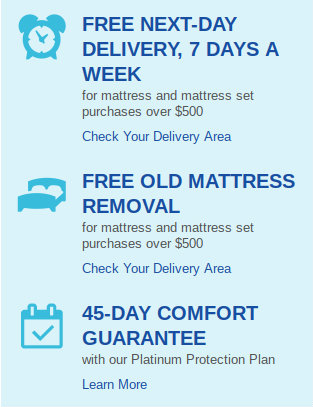 raymour & flanigan mattress purchase benefits